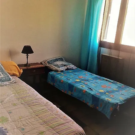 Beau F4 * Petreto-Bicchisano